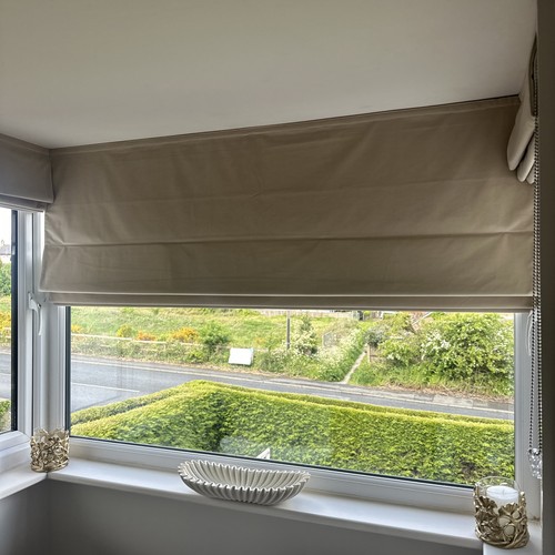 Canterbury velvet cream roman - velvet,